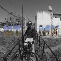 Anderson Arenas Molina的照片