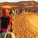 Trip To Sahara Merzouga 's picture