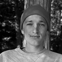 clidi robin的照片