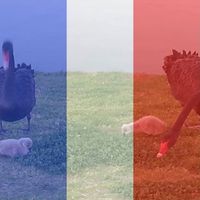 Andrea McMahon的照片