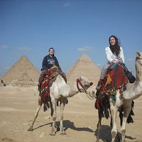 Felicity Harris的照片