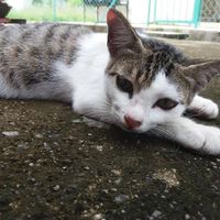 Aliza Nordin's Photo