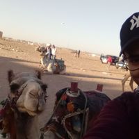 emad romany的照片