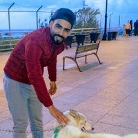 abed haddad的照片