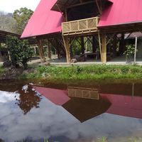 Fotos de Maria Nunez