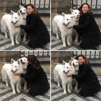 Andie Cheng的照片