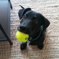 Urszula Koszykowska的照片