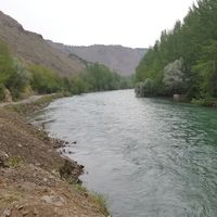 mohammad abbaspour's Photo