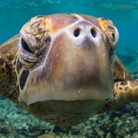 Jim Williams's Photo