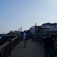 Omar Roushdy's Photo