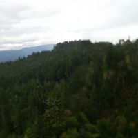 Becky Hunter's Photo