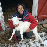 Dhasha Vallatharasu's Photo