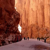 Omar Bakhbakh的照片