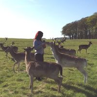 Jéssica Zerbieli的照片