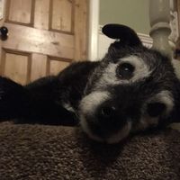 Darach De Brun的照片