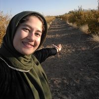 fatemeh yazdani's Photo