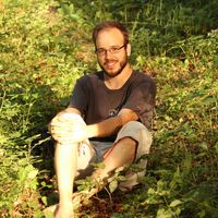 Fotos de David Glenck