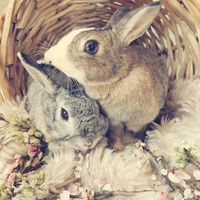 Lenné Oberholzer's Photo