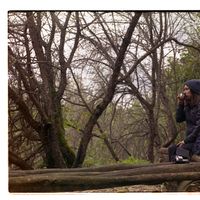 Alena Zarubina的照片