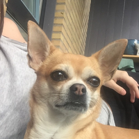 Fotos de Maria Dyrø