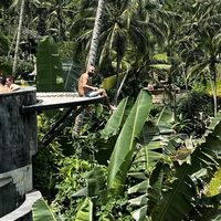 Bob Solyeman的照片