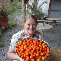 joy Horton Hofmann's Photo