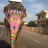 Kasia Blahut's Photo