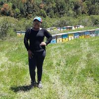 Reannys Chavez的照片