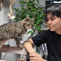 Sultan  Kemelden的照片