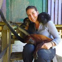 Fotos de Abby Mansell