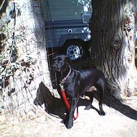 Michael Cowan's Photo