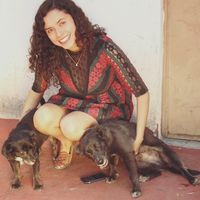 Danny Cabrera的照片