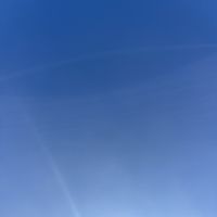 letian jiang's Photo