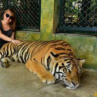 Alina Novoselova的照片