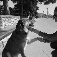 eleni Savvidou's Photo