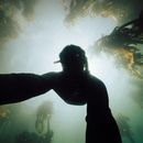 Freediving Around Simons Town  's picture