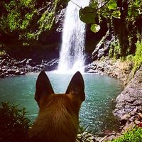 Aurélien Manuarii's Photo