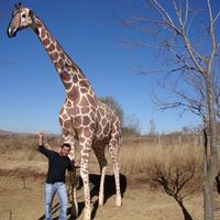 Alfredo Avelar的照片