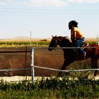 Halil Batı的照片