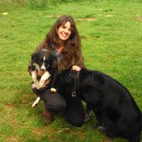 Zdjęcia użytkownika DIANA BARTOLOME