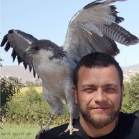 Samuel Santos's Photo