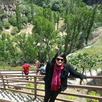 seçil yemen的照片