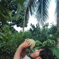 Fernando Alonso's Photo