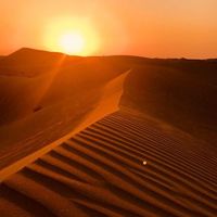 Tommy Riendeau的照片