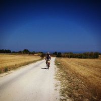 Paolo Falbo的照片