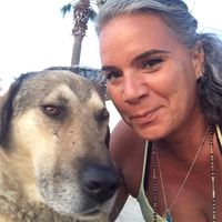 Photos de Goksun Cetinorge