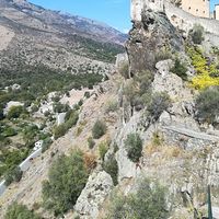 Alice Barret的照片