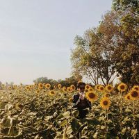 Natthaphon Suksa-nguan的照片