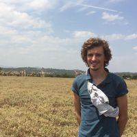 Le foto di Toby Held