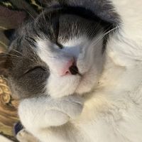 Kazumi Azuma's Photo